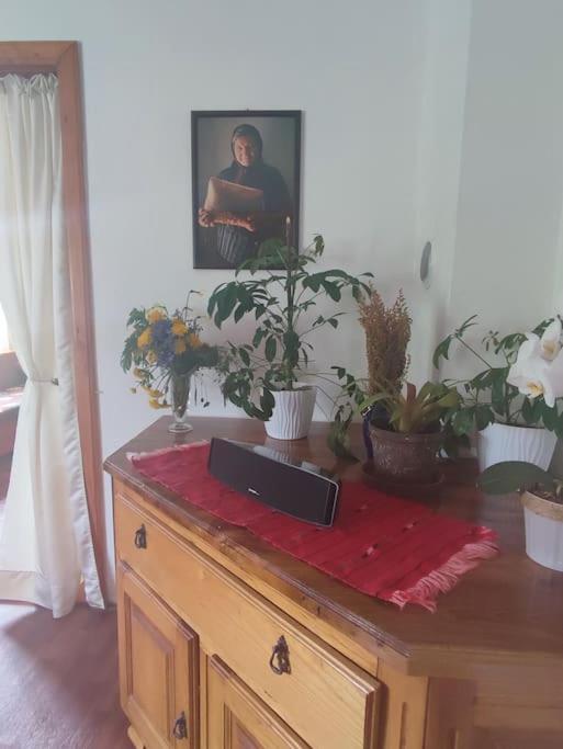 Cemerno Cottage Gacko Eksteriør billede